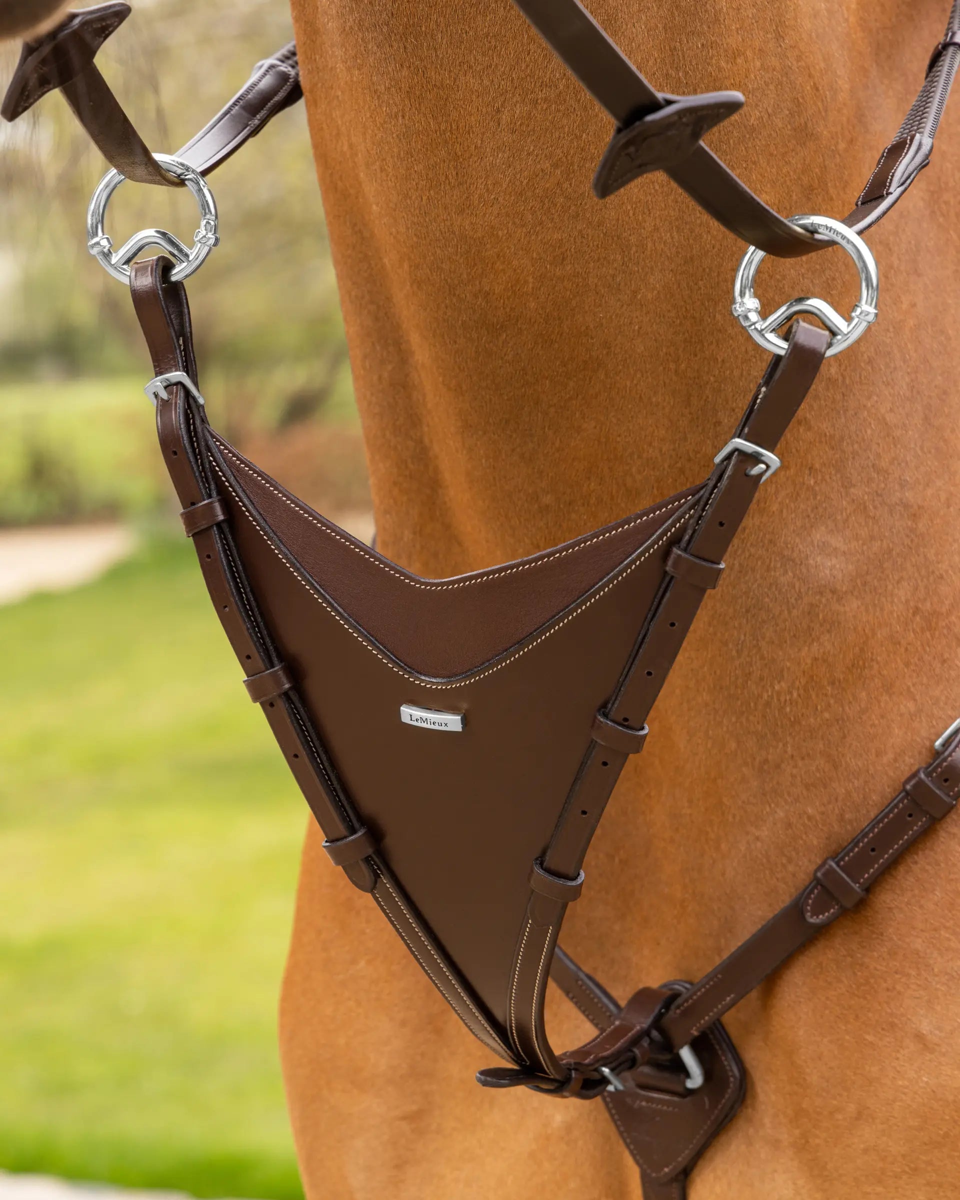LeMieux Kudos Bib Martingale Attachment Havana/Silver