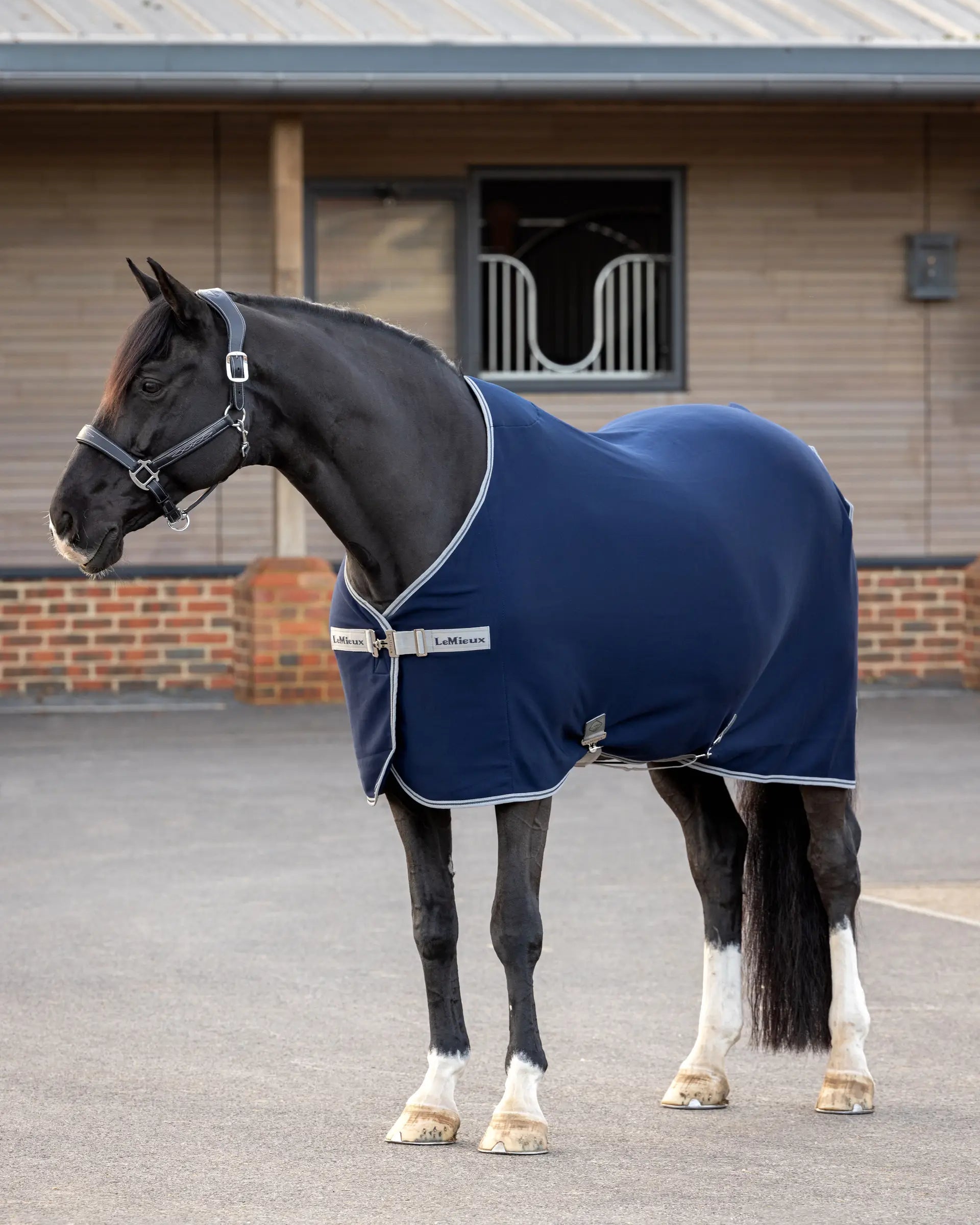 LeMieux Arika Jersey-Tek Fleece Navy
