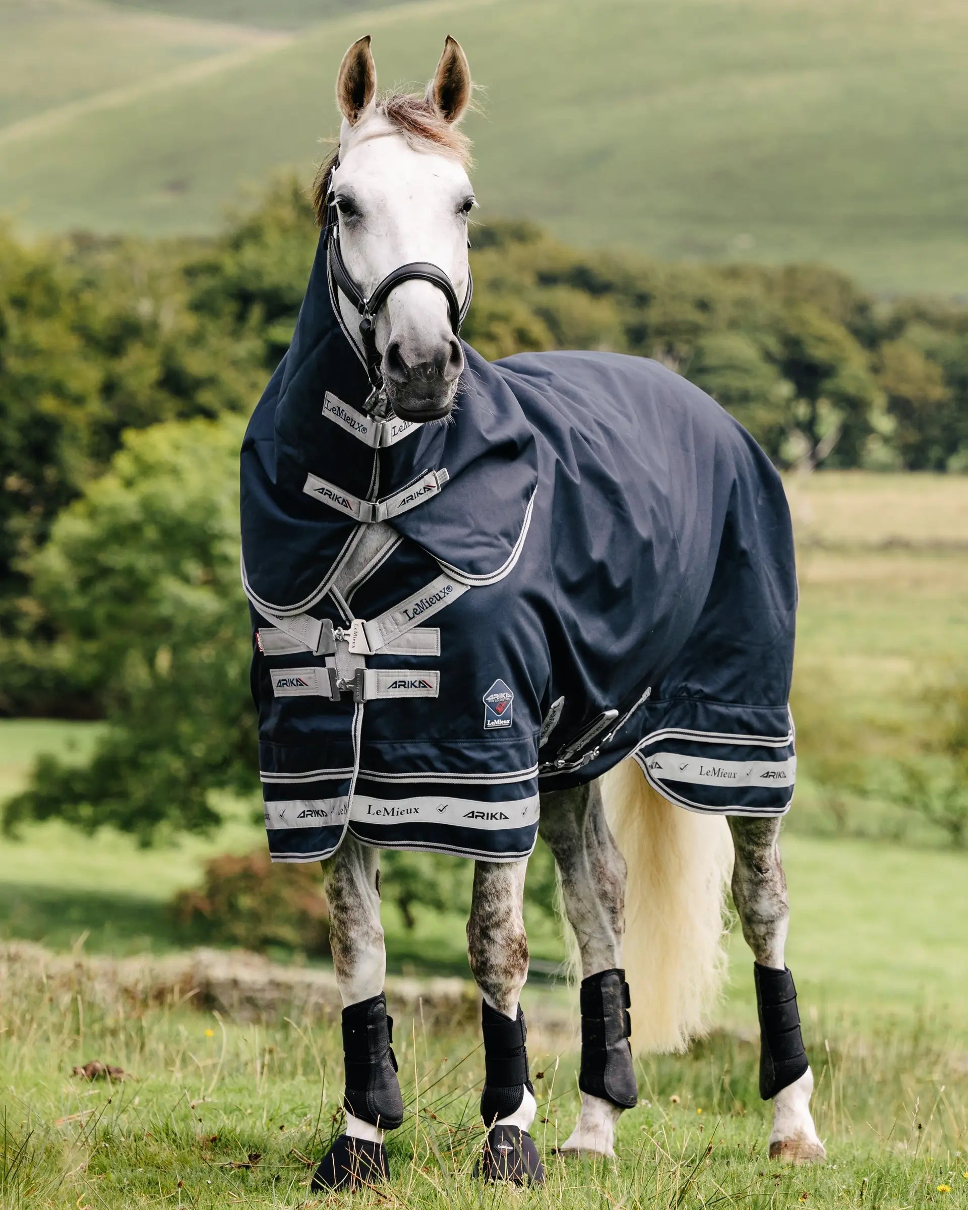 LeMieux Arika Storm-Tek 50g Navy Horse Turnout Rug: Waterproof Protection & Style