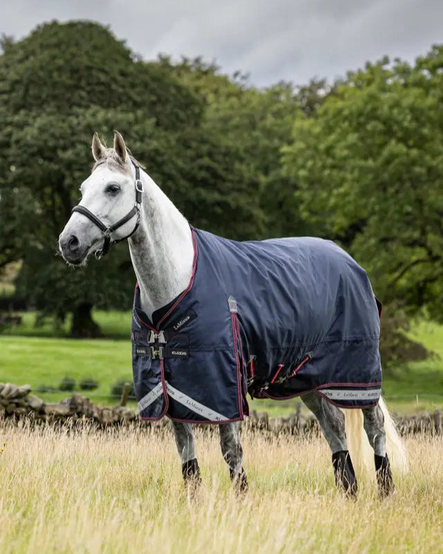 LeMieux Kudos 100g Turnout Rug in Navy - Waterproof Horse Rug with Detachable Neck