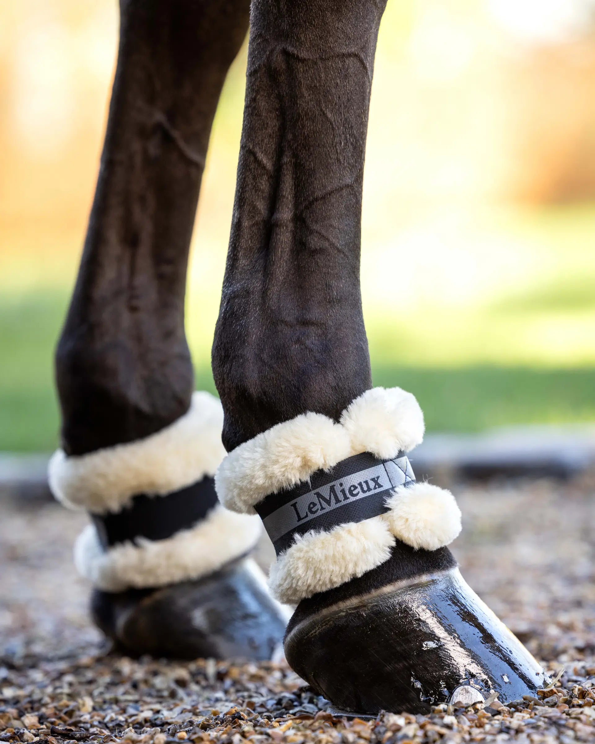 LeMieux Fleece Pastern Wrap Black