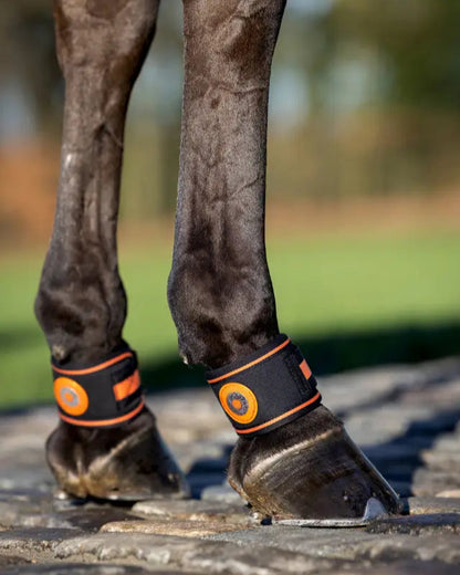 Lemieux Magno Pastern Wraps - Black Equine Horse Leg Protection - Magnetic Therapy for Hoof Health