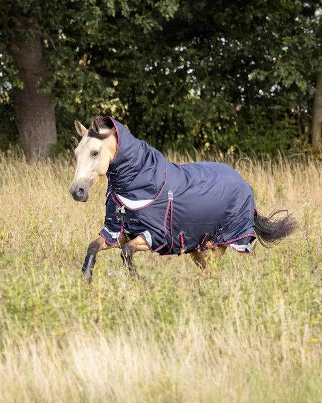 LeMieux Kudos 50g Turnout Rug in Navy - Horse wearing waterproof rug in field