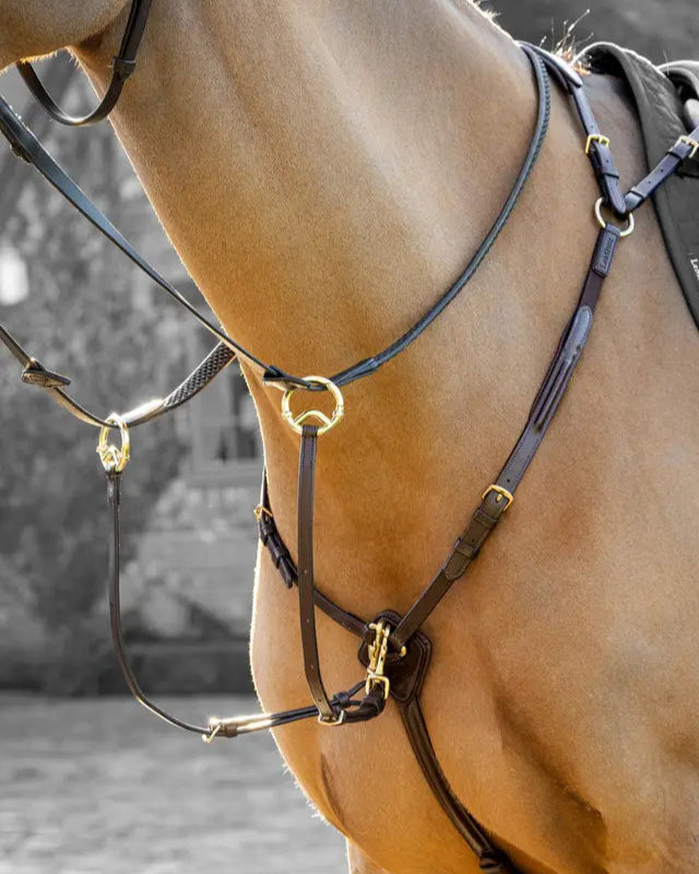 LeMieux Breastplate (D-Ring Attachment) Havana/Brass