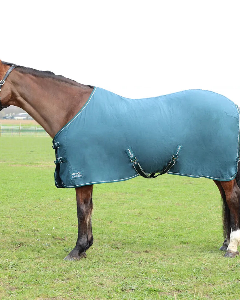 Horse in Teal StormX Empra Pima Cotton Sheet - Lightweight Horse Rug for Summer & Travel
