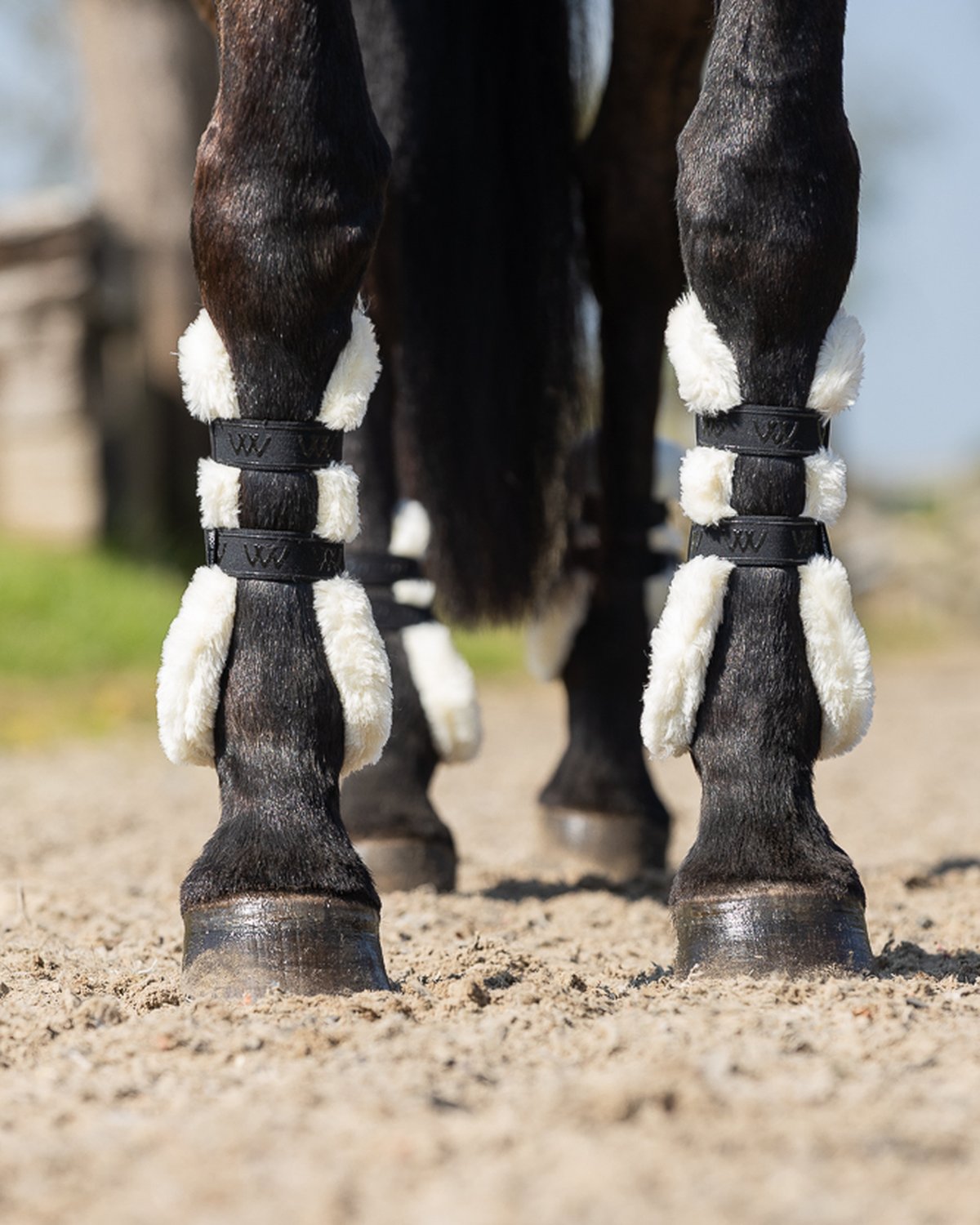 Woof Wear Vision Elegance Tendon Boot Black Faux Sheepskin - Horse Leg Protection
