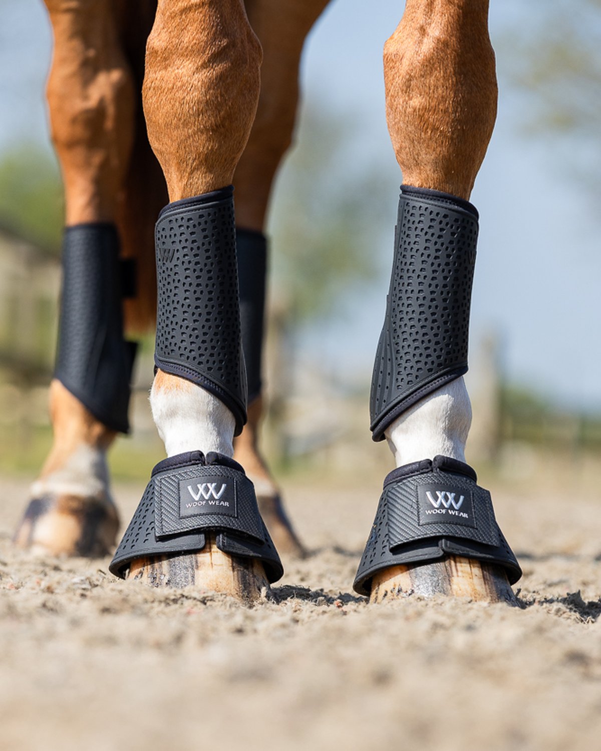 WOOF WEAR iVent Overreach Horse Boots Black - Protective Equestrian Legwear