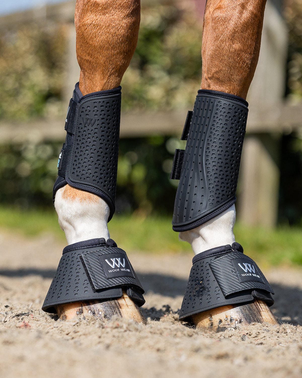 WOOF WEAR IVENT OVERREACH BOOT Black: Horse legs with black overreach boots for hoof protection in equestrian activities.