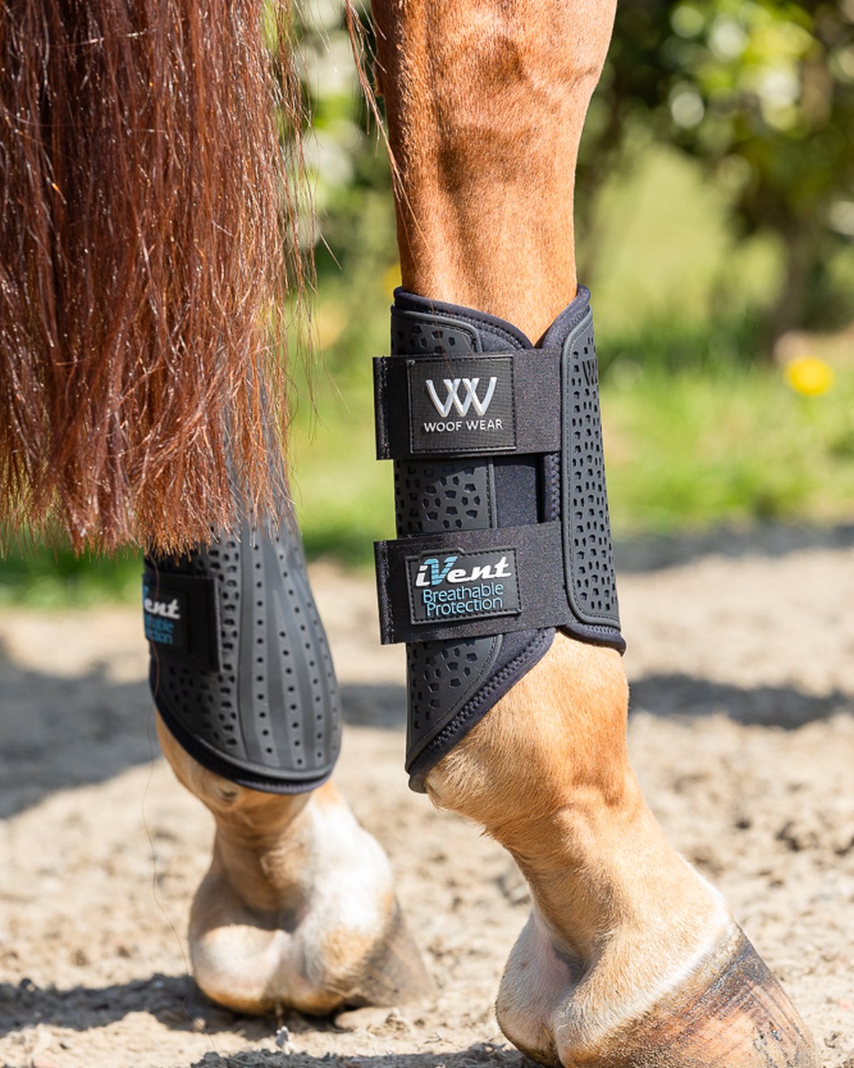Woof Wear iVent Hybrid Horse Boots - Black Brushing Boots for Dressage, Hacking, Turnout & Endurance - Breathable Leg Protection
