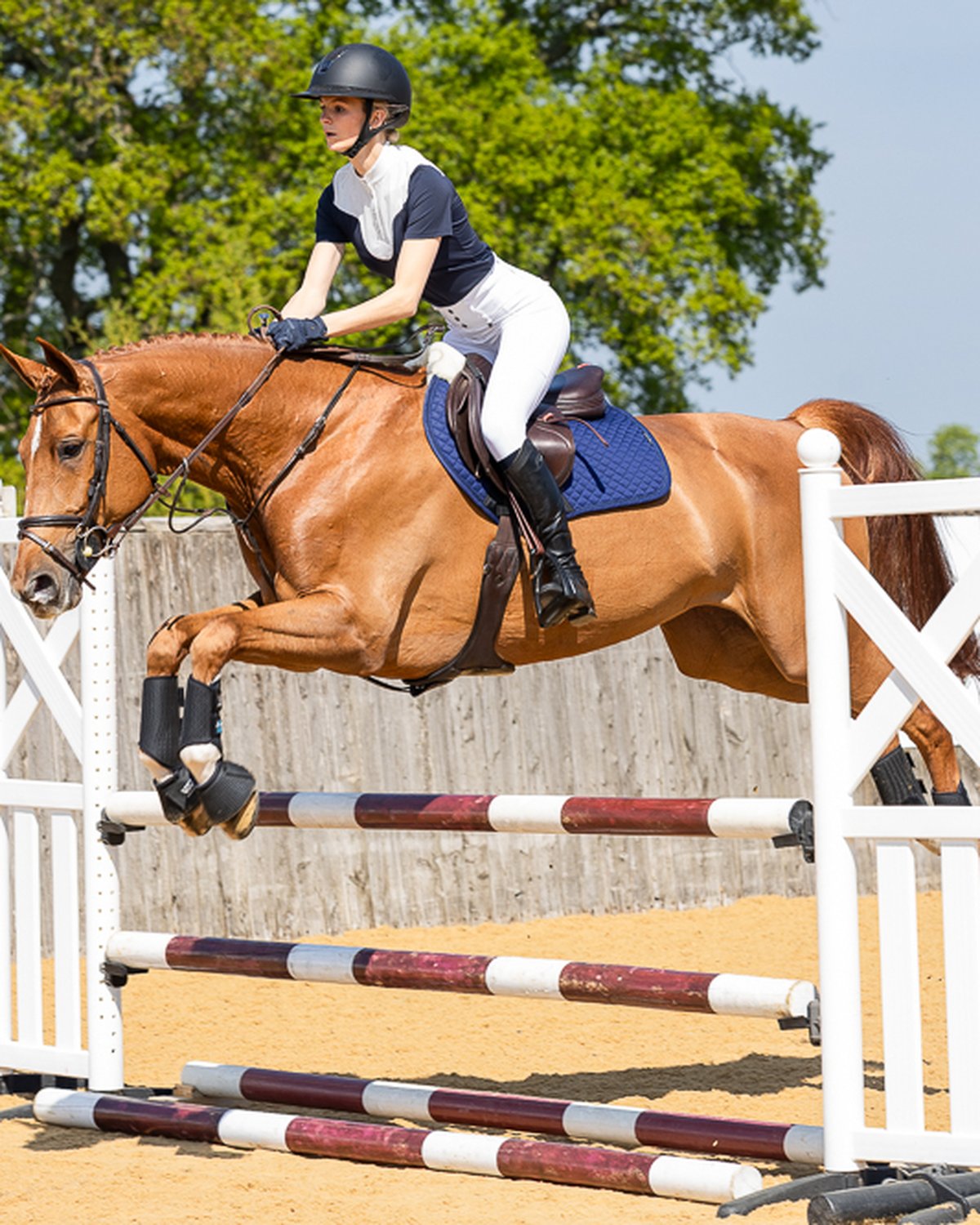 Equestrian Horse Jumping with Woof Wear Dressage Sheepskin Pad Navy | Equiflair