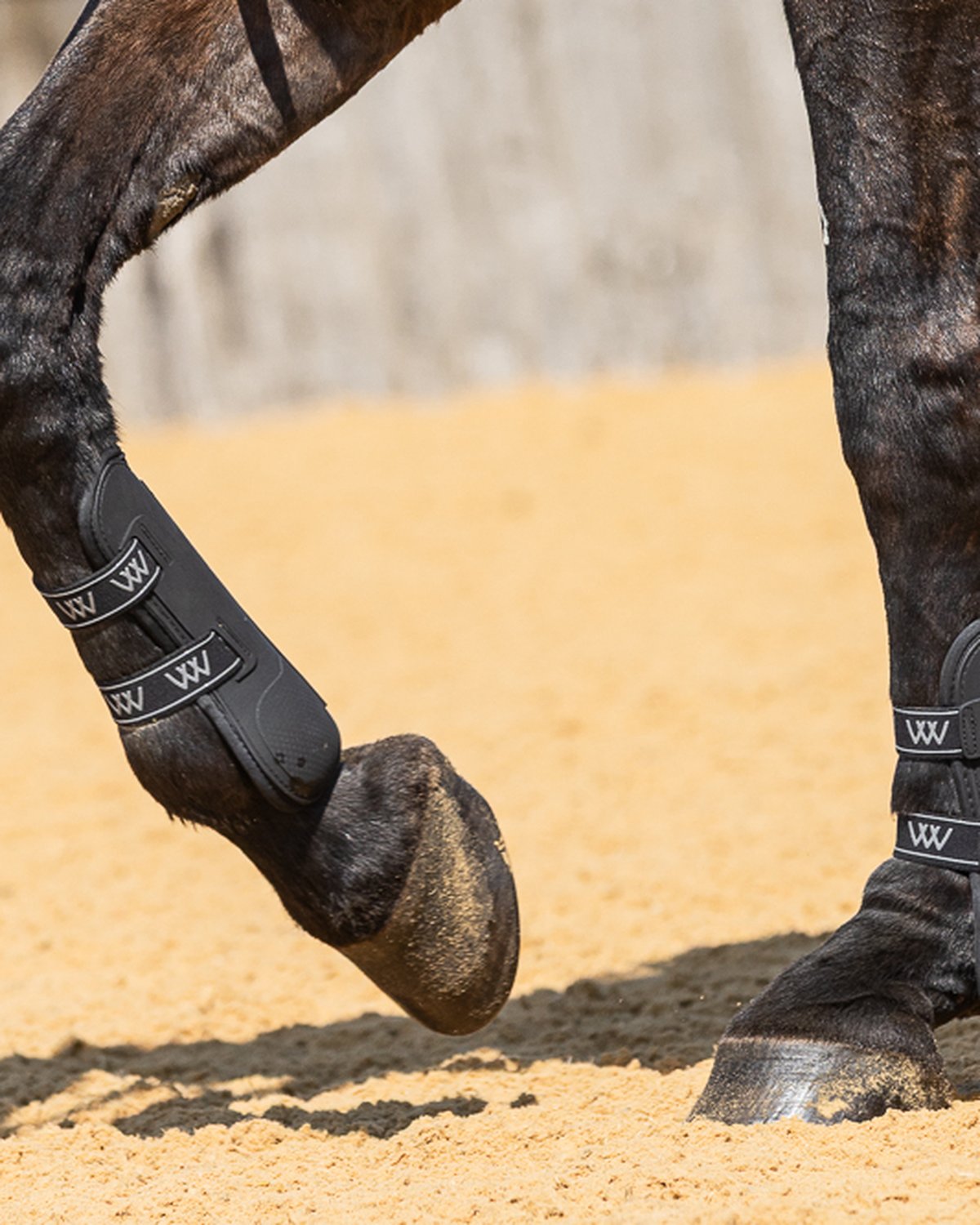 Woof Wear Vision Tendon Boots: Close-up of black horse leg protection for riding, equestrian equipment.
