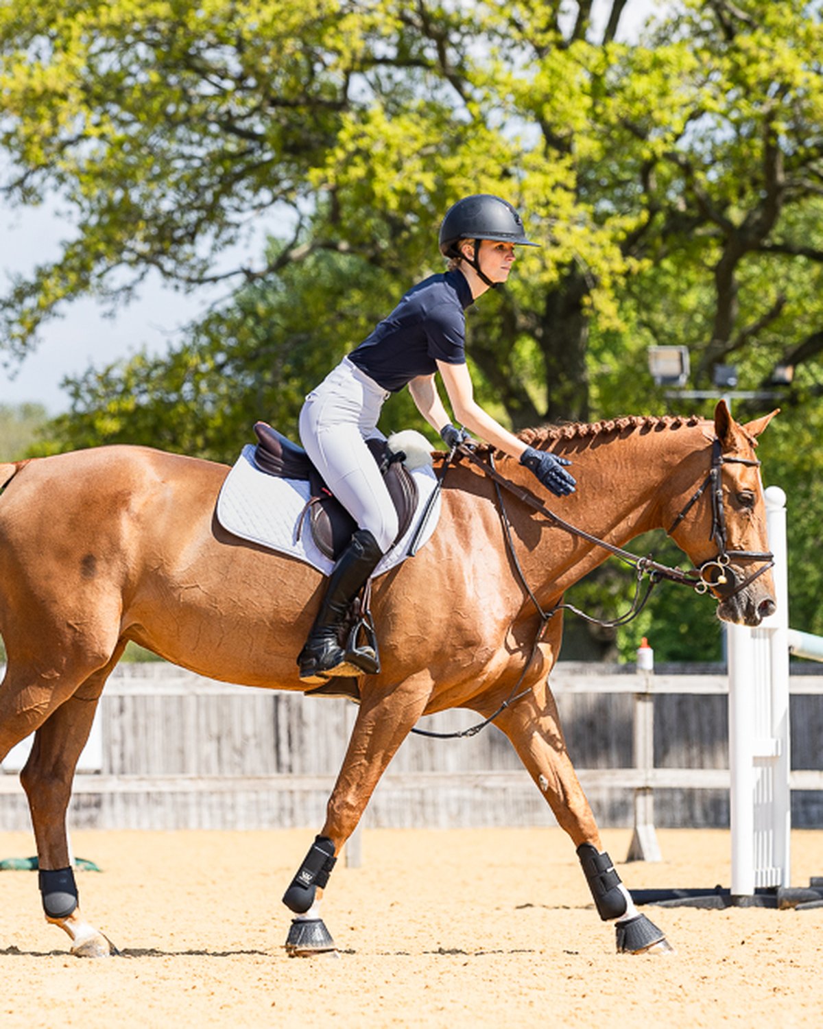 Dressage horse with rider, wearing WOOF WEAR white sheepskin saddle pad. Equestrian event at Equiflair.