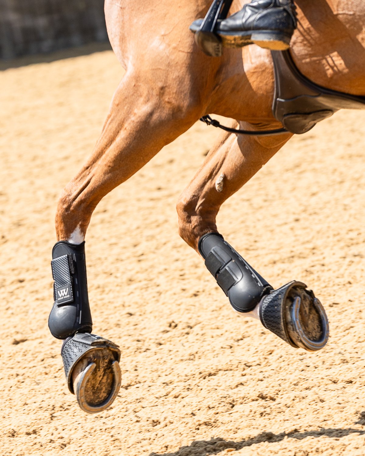 WOOF WEAR PRO TENDON BOOT BLACK - Horse Riding Boot, Black, Leg Protection, Vented PU Shell, Padded Strike Area