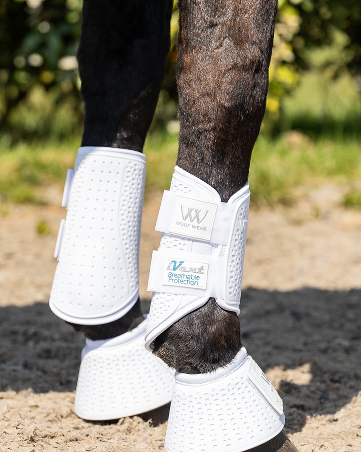 Woof Wear iVent Hybrid Brushing Boots - White Horse Leg Protection for Dressage, Hacking, Turnout & Endurance Riding | Equiflair