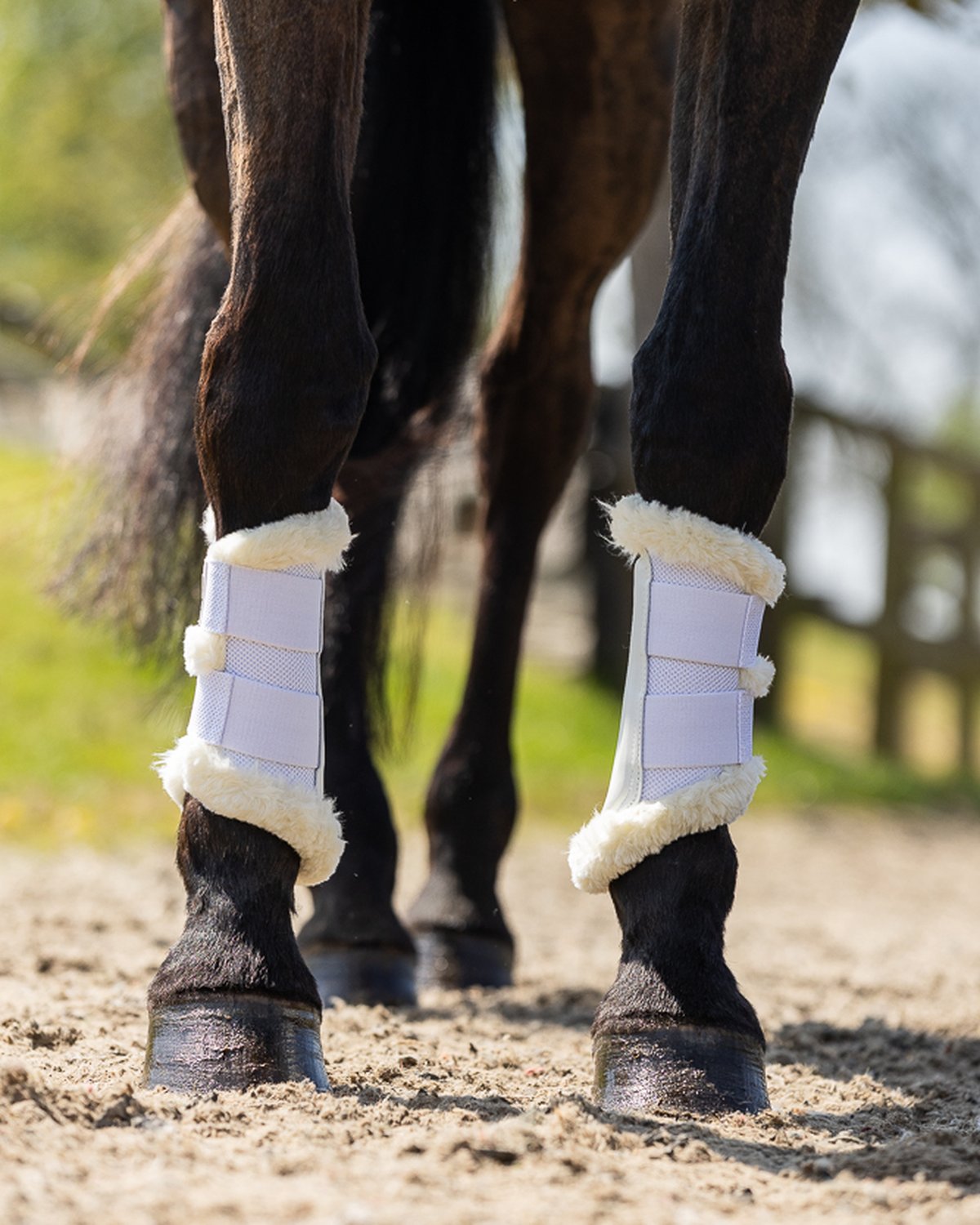 Woof Wear Vision Elegance White Brushing Boots for Horse Leg Protection | Equine Riding Gear