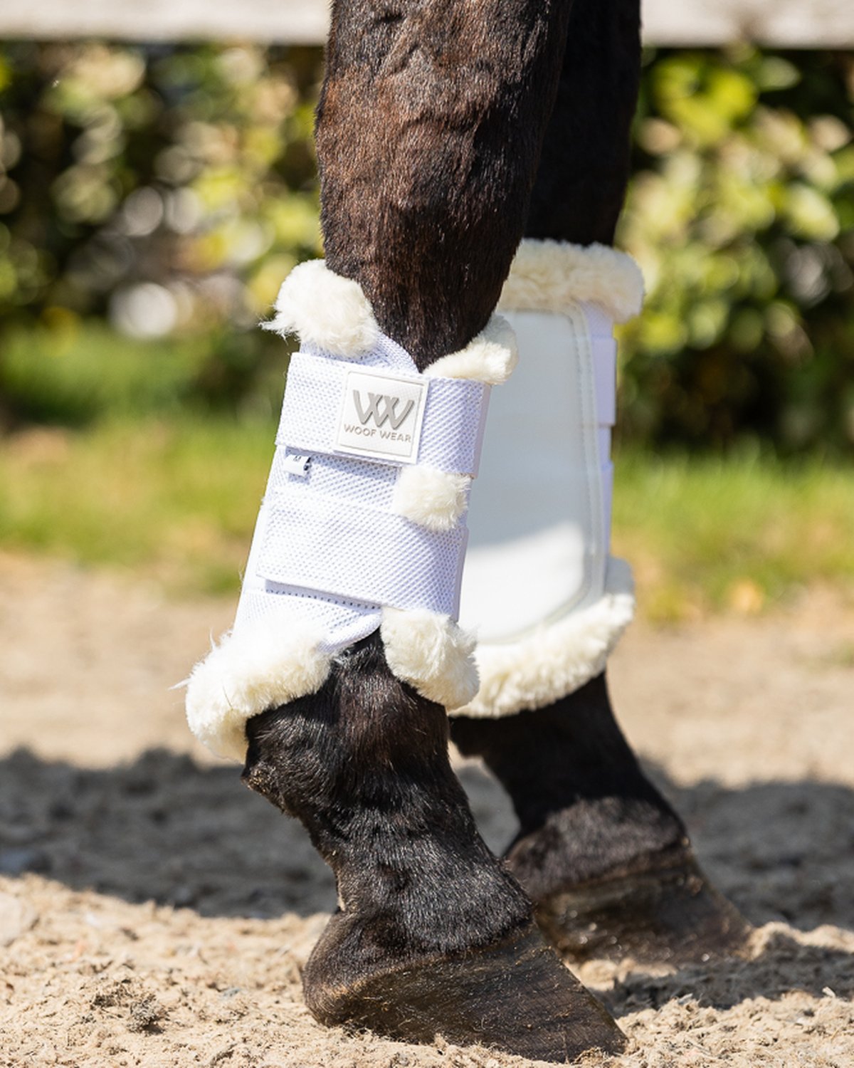 WOOF WEAR VISION ELEGANCE White Brushing Boots - Horse Leg Protection | Equiflair