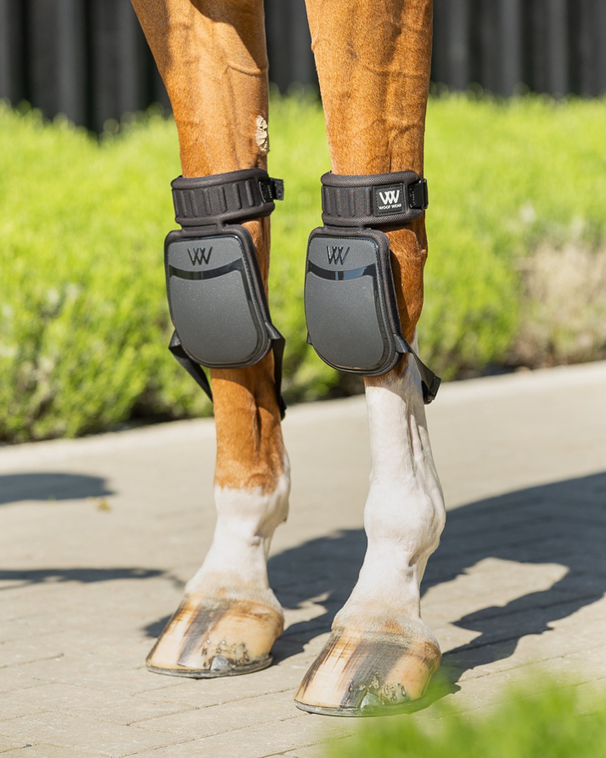 WOOF WEAR Knee Boots Black - Horse Riding Knee Protection