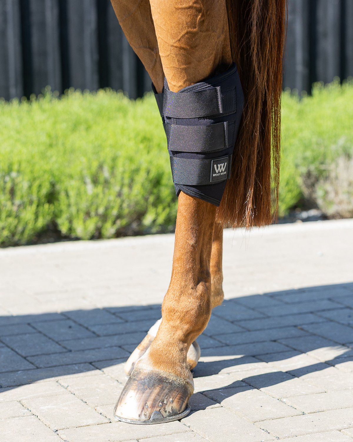 WOOF WEAR HOCK BOOT BLACK on horse leg, equine support, hock protection, injury recovery