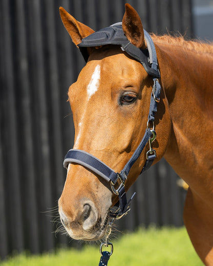WOOF WEAR POLL GUARD BLACK: Poll protection for horses. Impact absorbing EVA foam, attaches to headcollar.