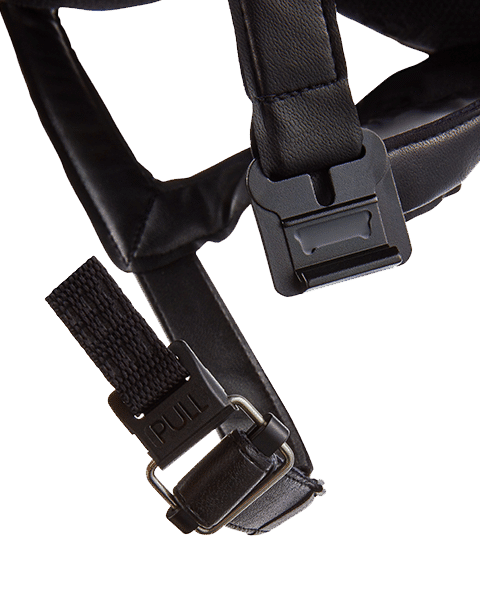 Charles Owen 4 Star Jockey Helmet (Black): Harness Detail - Safety, Comfort, and Secure Fit