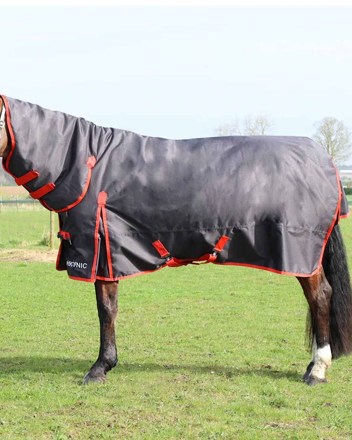 HYCONIC 200G Combi Turnout Rug Charcoal/Red - Waterproof Horse Rug Equiflair