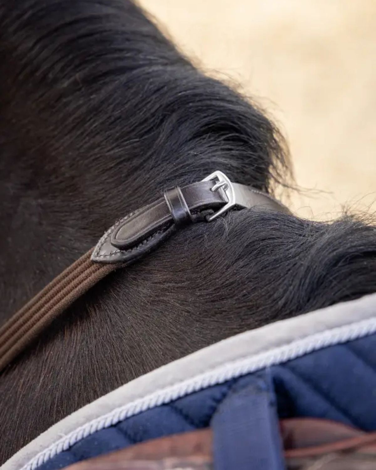 LeMieux Webbed Continenal Reins Brown/ Silver