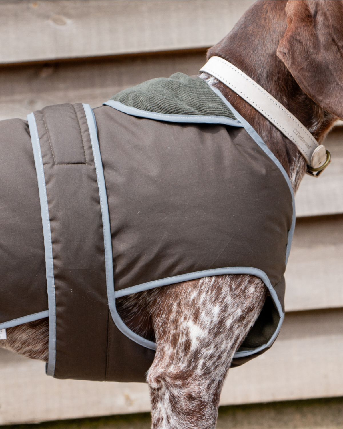 Ancol Heritage Wax Cotton Dog Coat