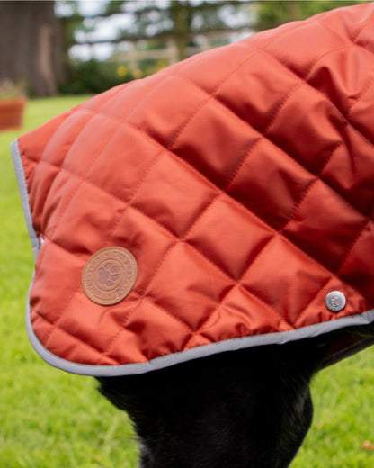 Ancol Heritage Quilted Dog Coat Terracotta