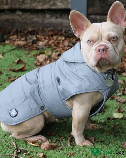 Ancol Ultimate Reflective Dog Coat