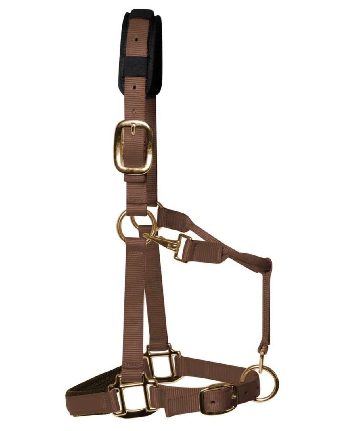 KM Elite Padded Headcollar Brown