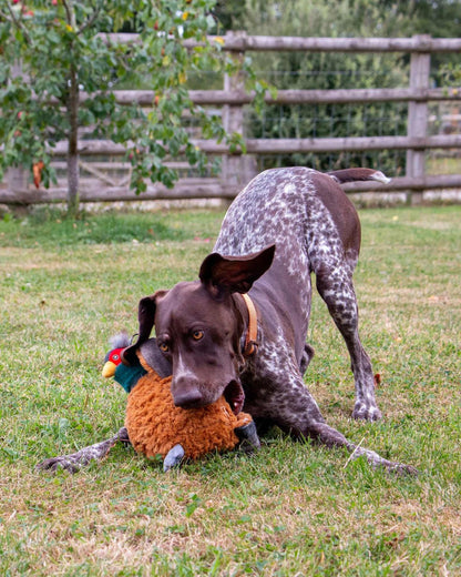 Ancol Heritage Phoebe Pheasant Dog Toy