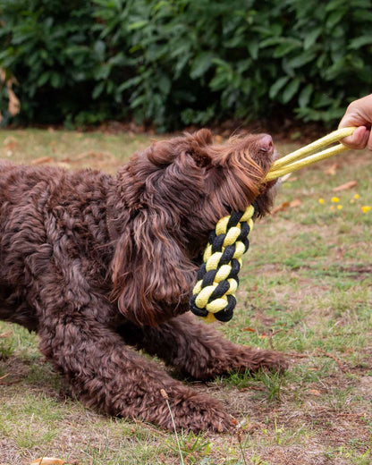 Ancol Playtime Bumble Bee Ropey Plait Dog Toy