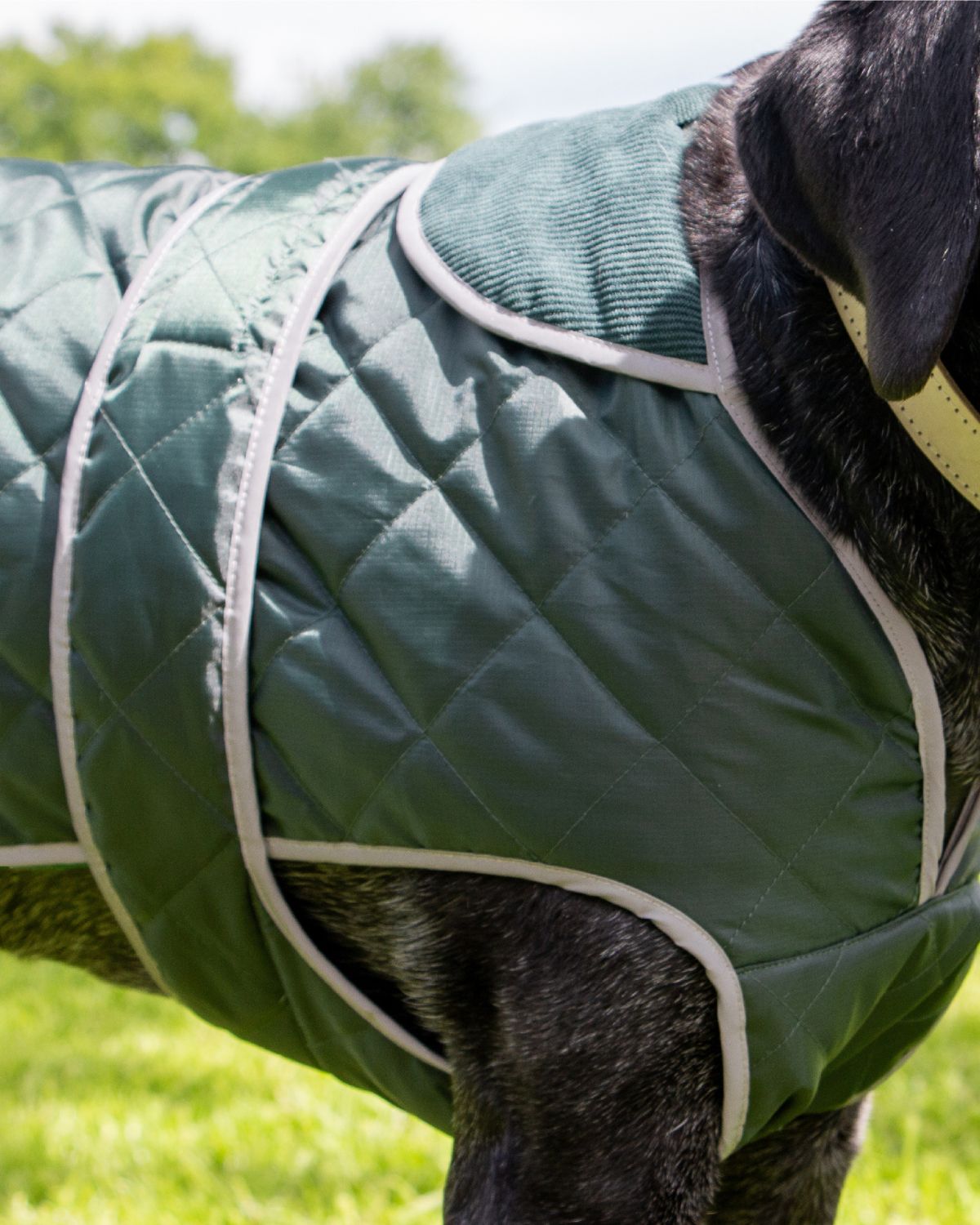 Ancol Heritage Quilted Dog Coat Green