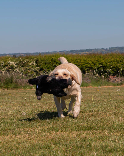 Ancol Heritage Montgomery Mole Dog Toy