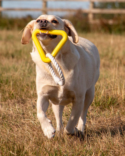 Ancol Playtime Natural Ropey Triangle Yellow Dog Toy
