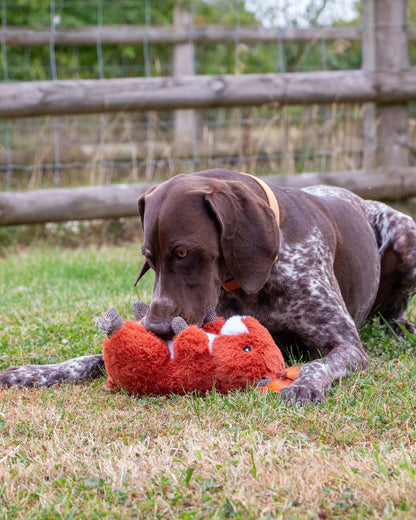 Ancol Heritage Samantha Squirrel Dog Toy