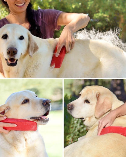 StripHair Gentle Groomer for Dogs: Woman Grooming Labrador Retriever with red KM ELITE STRIPHAIR SENSITIVE Tool by Equiflair