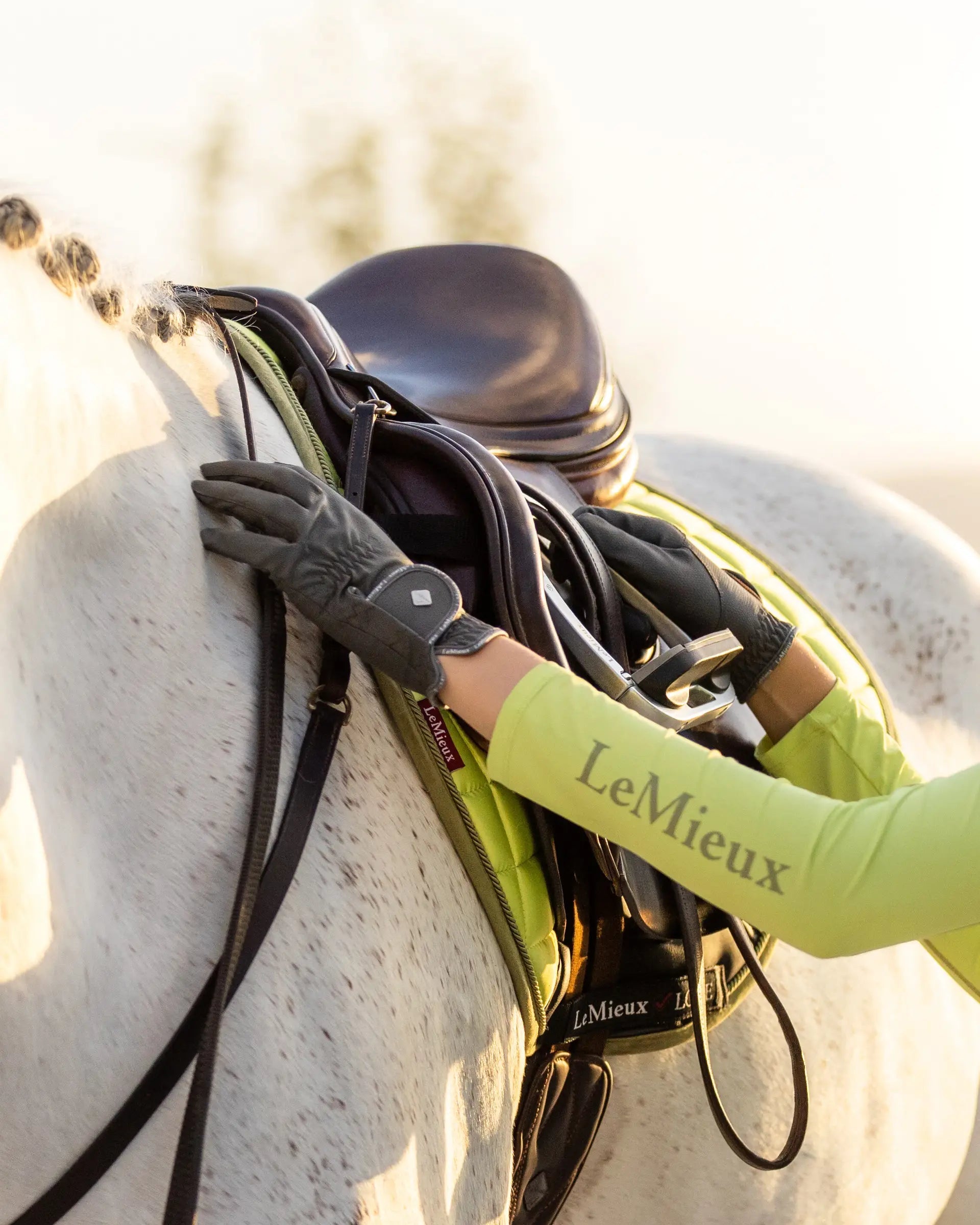 LeMieux Classic Riding Gloves Grey