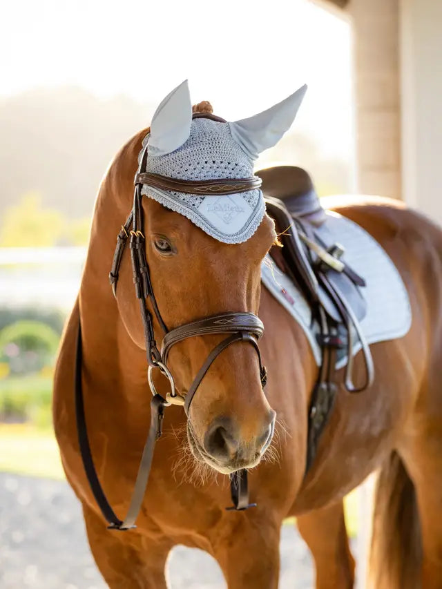 Brown Horse with LeMieux Classic Fly Hood in Mist | Equestrian Style & Fly Protection