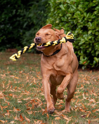 Ancol Playtime Bumble Bee Ropey Twist Dog Toy