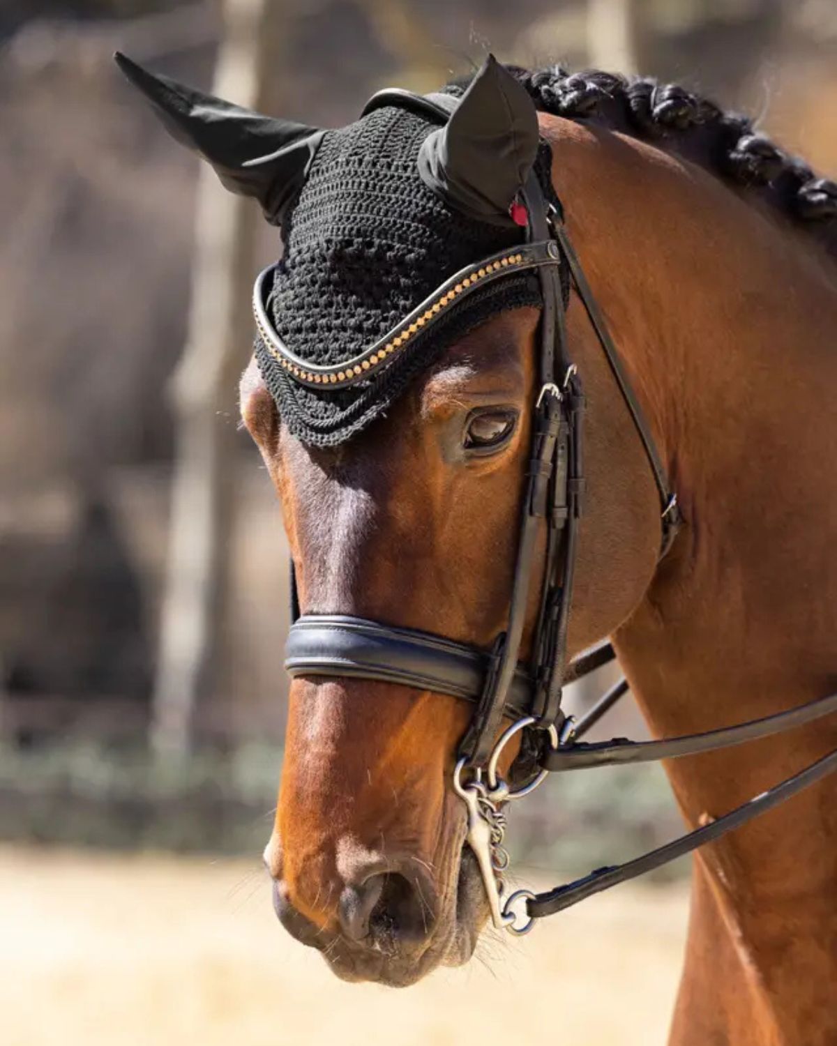 Elegant Black Horse Fly Hood: Lemieux Vogue Dressage Ear Cover for Sensitive Horses - Sound Softening Equestrian Ear Bonnet