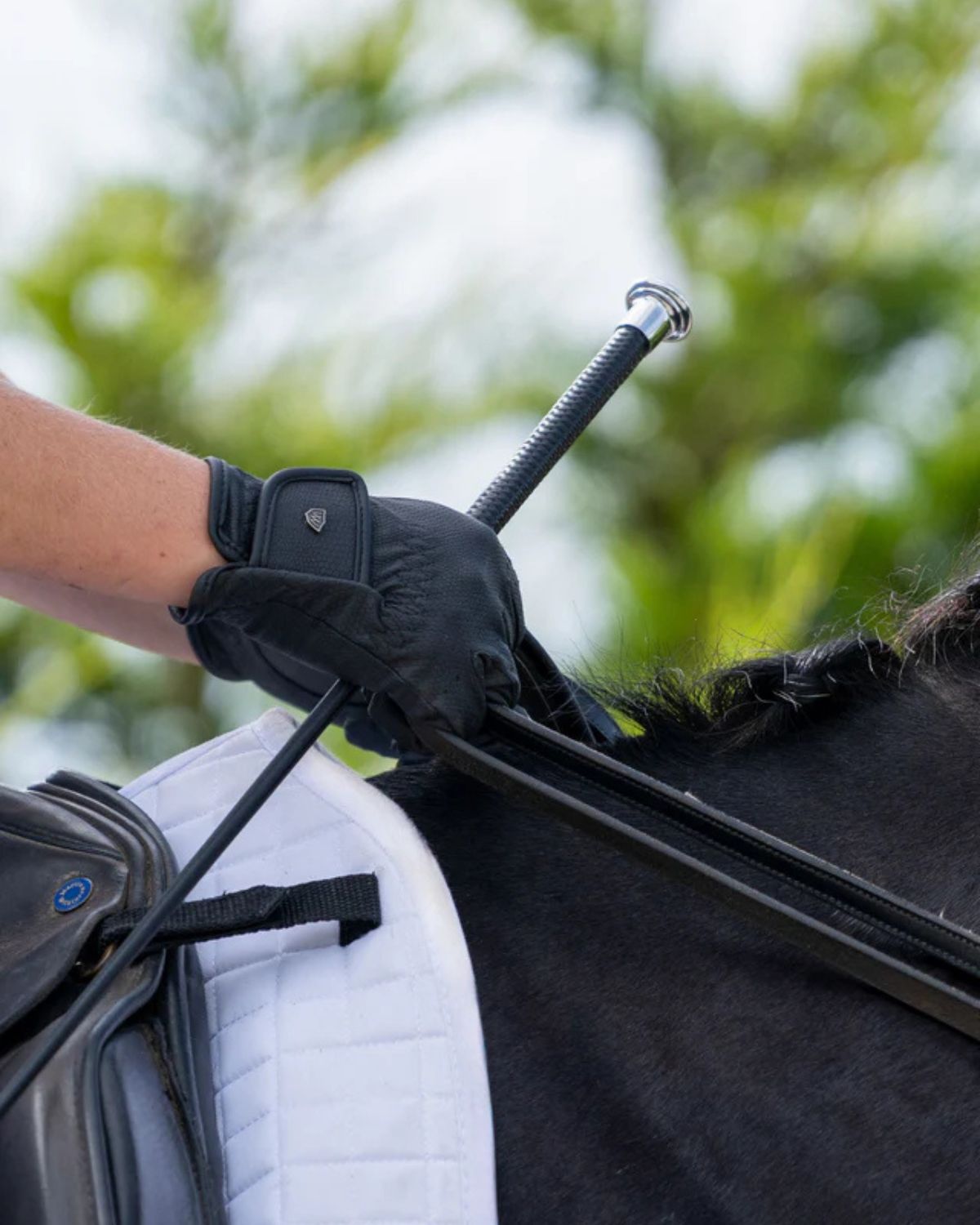 Dressage Whip - Black Glove Holding Riding Crop by Equiflair for Horse Riding