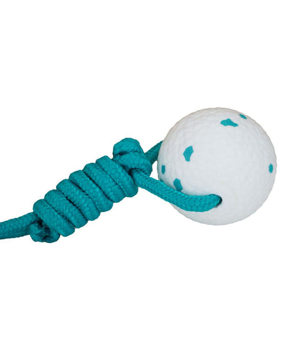 Ancol Chase Floating Ropey Ball Tug Dog Toy