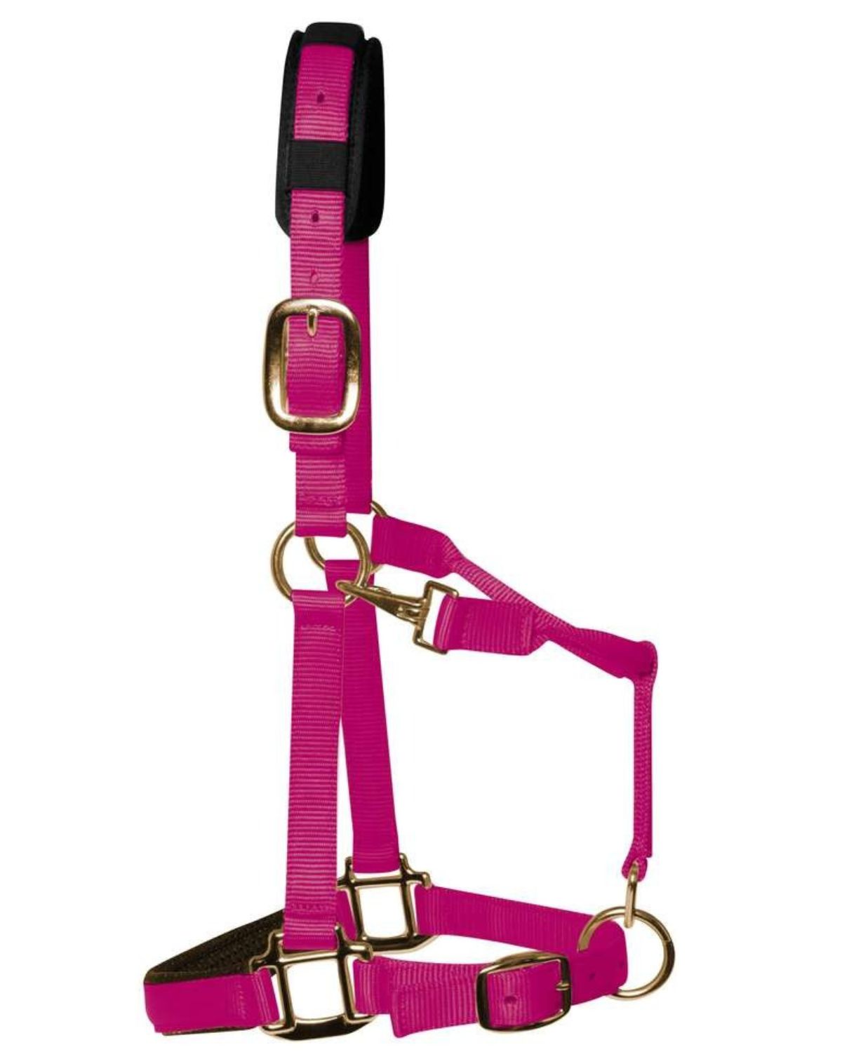KM Elite Padded Headcollar Raspberry