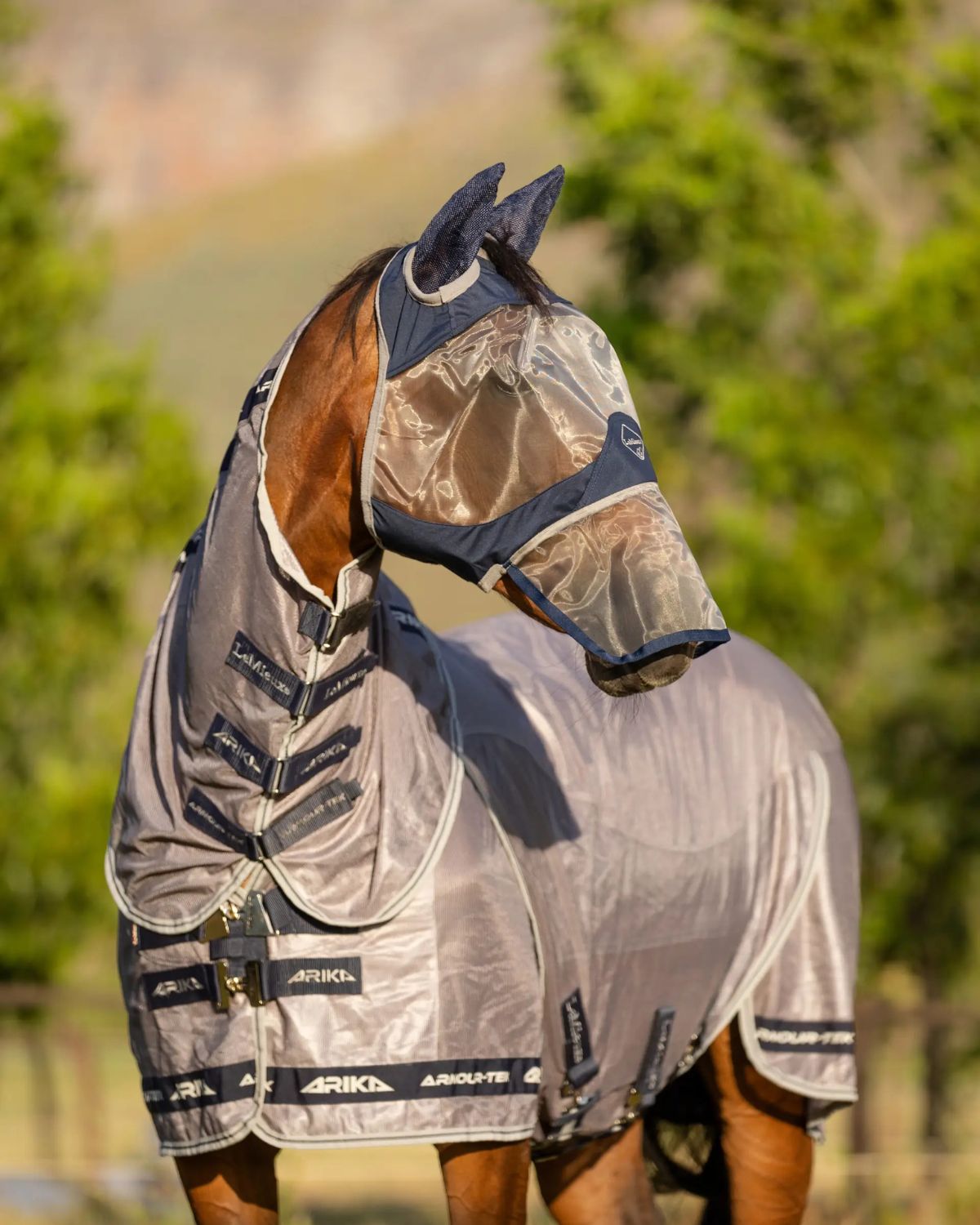 Lemieux Armourshield Horse Fly Mask & Rug: UV Protection. Shop at Equiflair Saddlery for top equine comfort & protection!