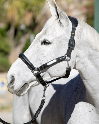 LeMieux Capella Headcollar Black