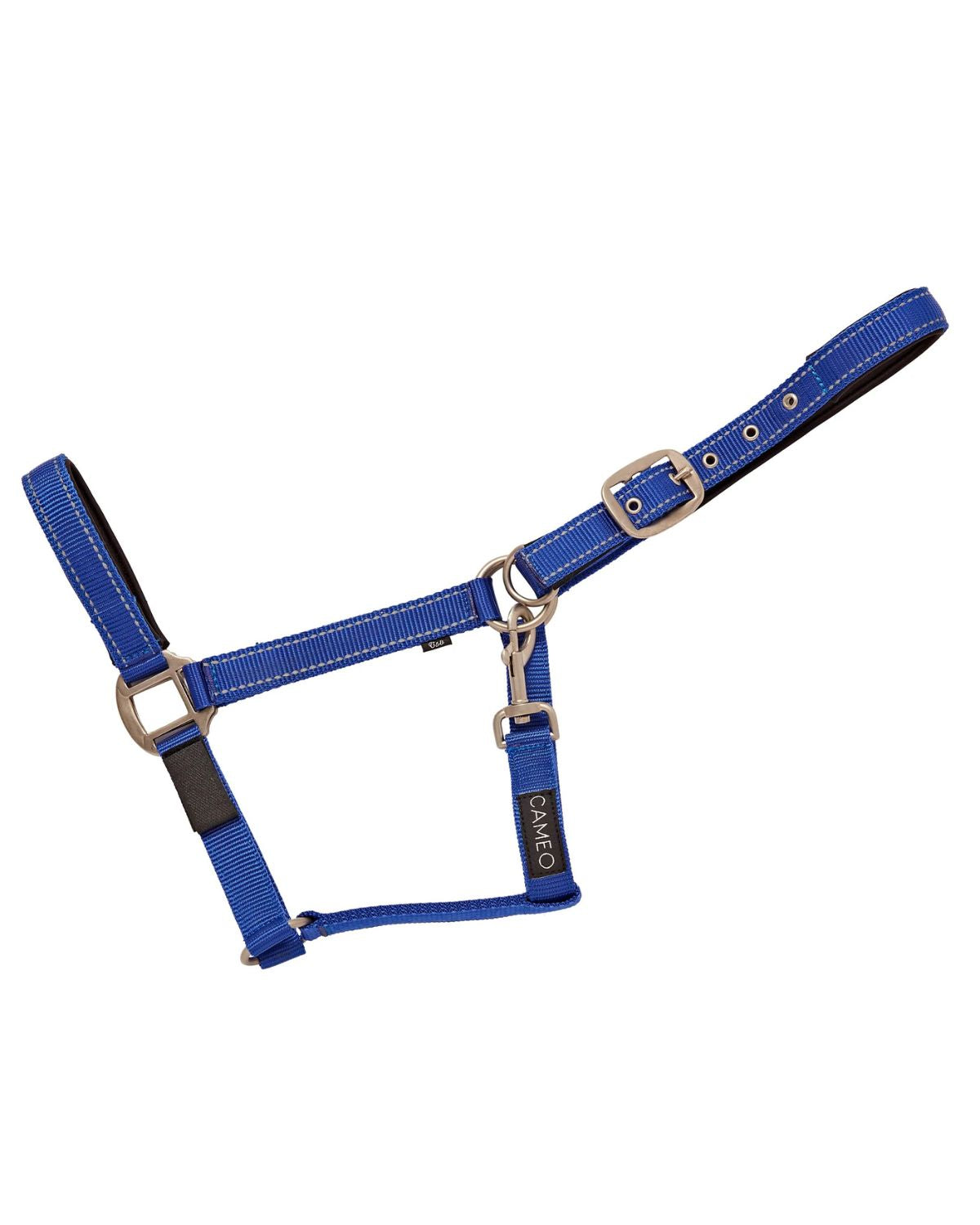 CAMEO Reflective Horse Headcollar - Blue Safety Headstall | Equiflair
