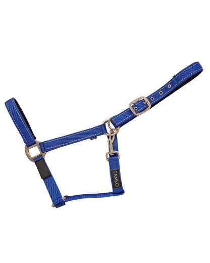CAMEO Reflective Horse Headcollar - Blue Safety Headstall | Equiflair