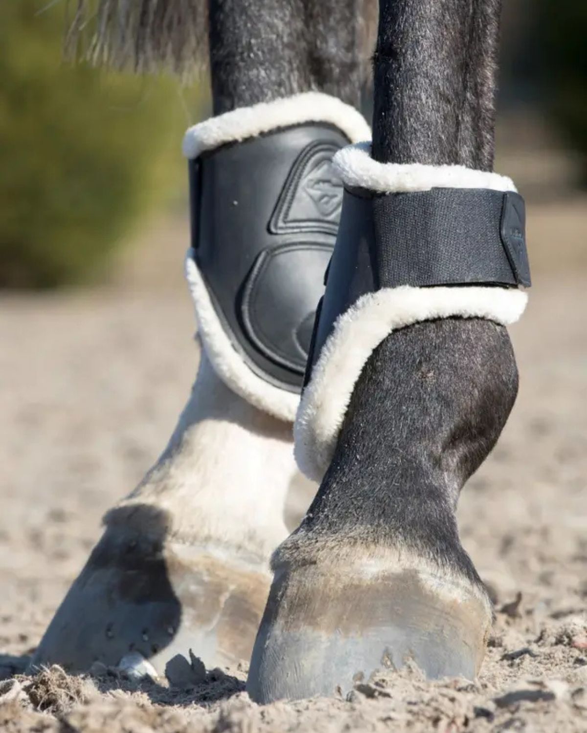 LeMieux Capella Comfort Fetlock Boots Black