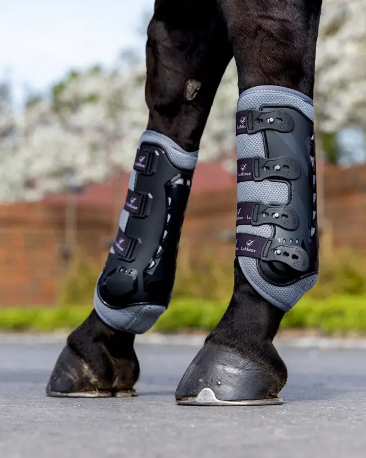 Lemieux Ultra Mesh Snug Horse Boots Hind Grey - Leg Protection, Equestrian Equipment, Horse Riding Gear, Equiflair